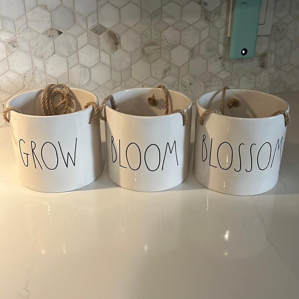 Rae Dunn hanging pots